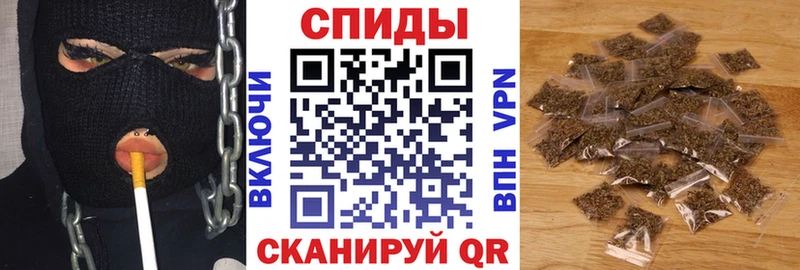 закладка  Александров  Бутират оксана 