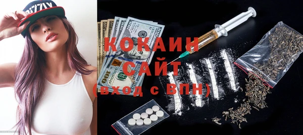 сатива Елабуга