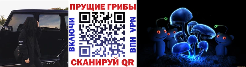 Галлюциногенные грибы Cubensis  Александров 